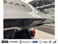 Renault Kadjar TCe 160 EDC GPF BOSE EDITION WSS Heizung Weiß - thumbnail 6