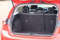 Ford Focus Lim. Active Automatik Rot - thumbnail 6