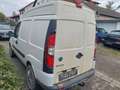 Fiat Doblo 1.3 JTD  HU & AU 06-2027! Weiß - thumbnail 4