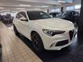 Alfa Romeo Stelvio 2.9V6 Quadrifoglio Q4510cv auto SCARICO AKRAPOVIC Blanc - thumbnail 6
