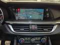 Alfa Romeo Stelvio 2.9V6 Quadrifoglio Q4510cv auto SCARICO AKRAPOVIC Blanc - thumbnail 10