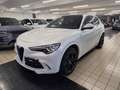 Alfa Romeo Stelvio 2.9V6 Quadrifoglio Q4510cv auto SCARICO AKRAPOVIC Blanc - thumbnail 2