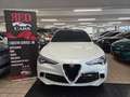 Alfa Romeo Stelvio 2.9V6 Quadrifoglio Q4510cv auto SCARICO AKRAPOVIC Blanc - thumbnail 1