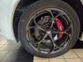 Alfa Romeo Stelvio 2.9V6 Quadrifoglio Q4510cv auto SCARICO AKRAPOVIC Blanc - thumbnail 14