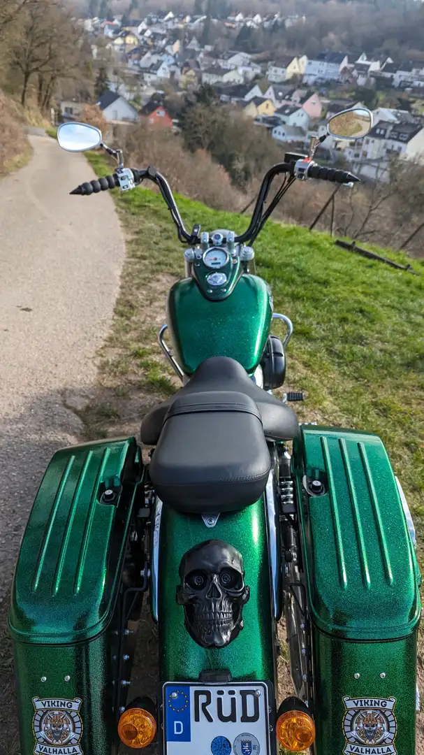 Honda VT 750 RC 44 Green - 2