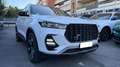 DR Automobiles DR6.0 1.5 TURBO CVT BI-FUEL GPL*C.L.19"*TETTO*CARPLAY* Blanc - thumbnail 2