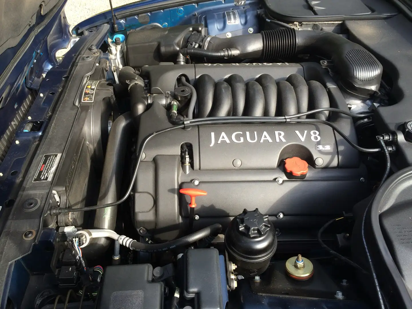 Jaguar XJ XJ8 Executive Blu/Azzurro - 2