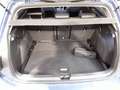 Volkswagen Golf Goal 1.5 eTSI DSG AHK Navi Matrix Rear View Blau - thumbnail 5