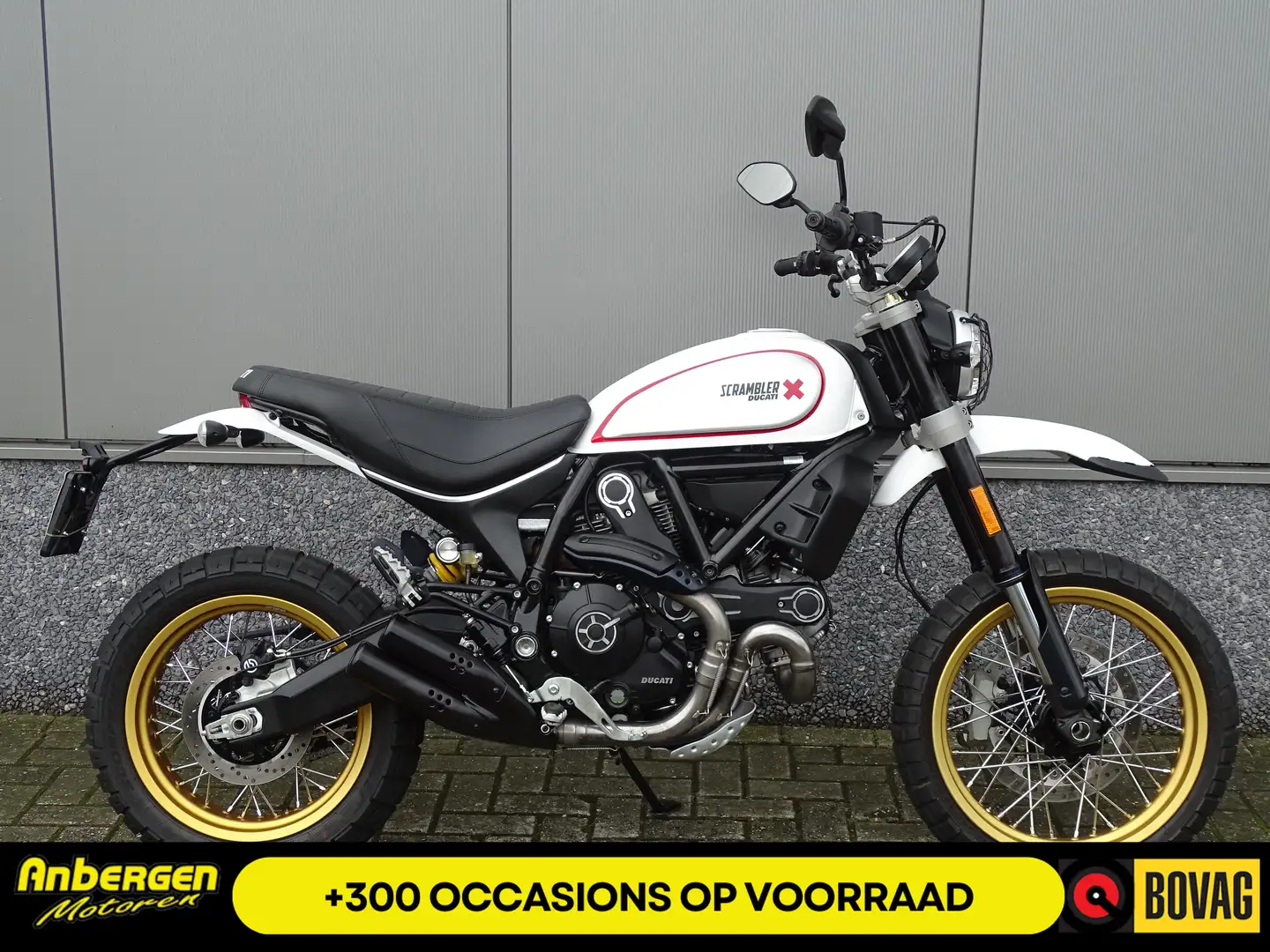Ducati Scrambler DESERT SLED Weiß - 1