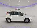 Fiat New Panda Panda 1.2 EasyPower Easy Blanco - thumbnail 4
