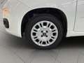 Fiat New Panda Panda 1.2 EasyPower Easy Blanco - thumbnail 13
