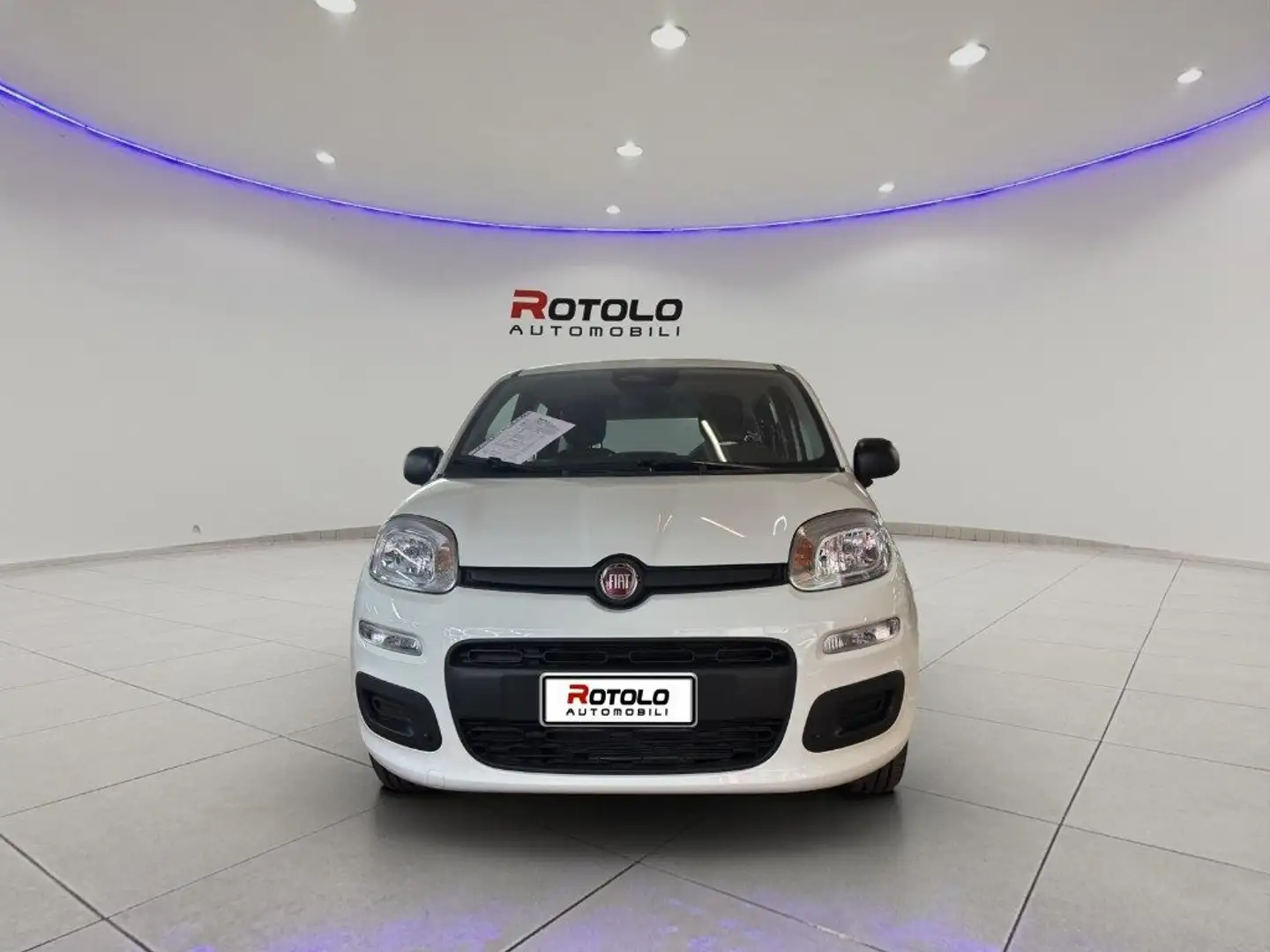 Fiat New Panda Panda 1.2 EasyPower Easy Blanco - 2