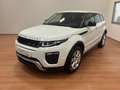 Land Rover Range Rover Evoque SE DYN. 150cv AT RATA DA  249€ Mese SIMIL NOLEGGIO - thumbnail 2