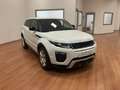 Land Rover Range Rover Evoque SE DYN. 150cv AT RATA DA  249€ Mese SIMIL NOLEGGIO - thumbnail 1