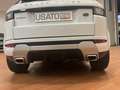 Land Rover Range Rover Evoque SE DYN. 150cv AT RATA DA  249€ Mese SIMIL NOLEGGIO - thumbnail 4
