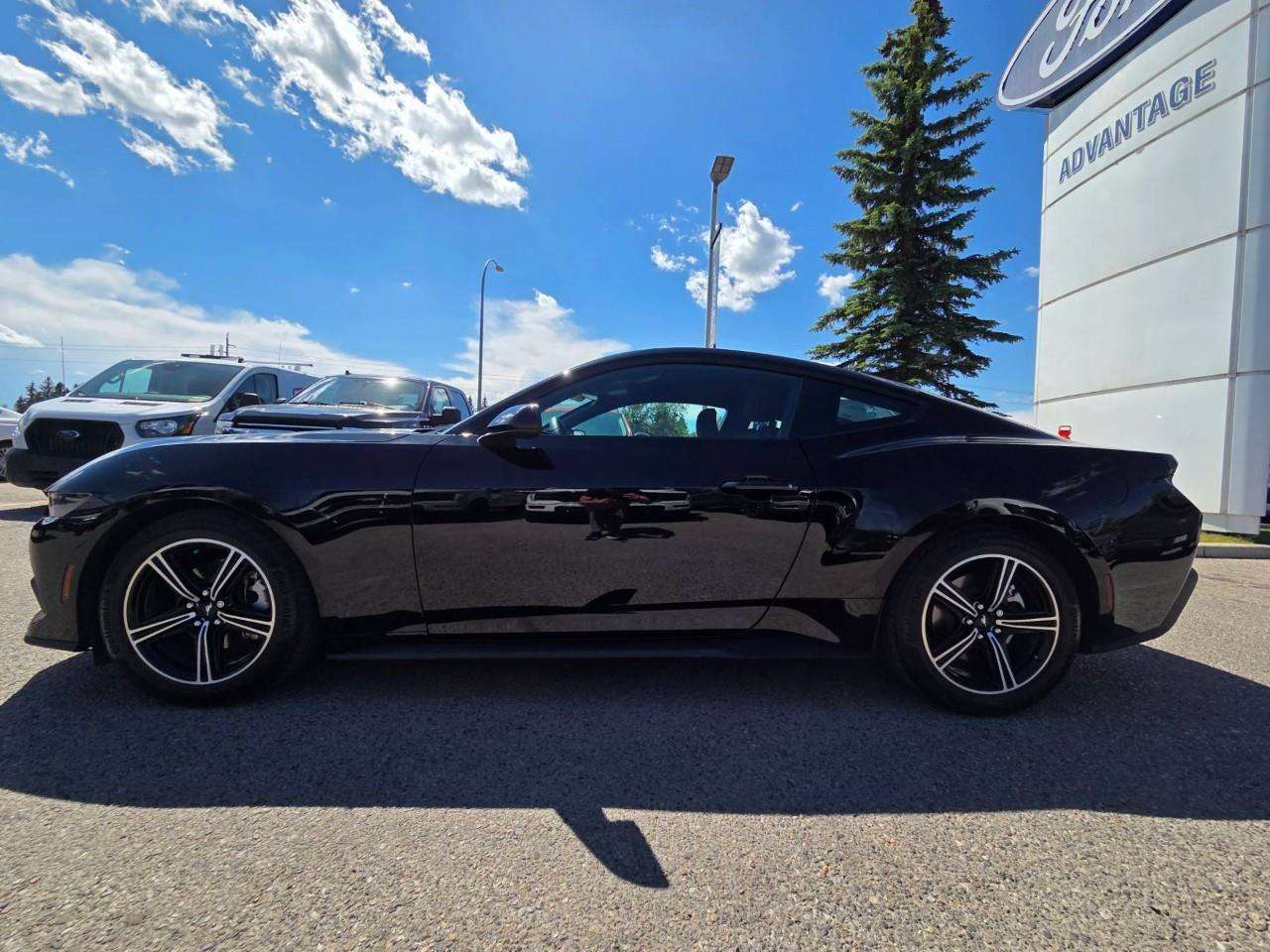 2025 Ford Mustang EcoBoost — снимка 1