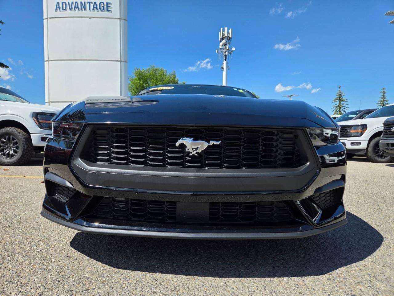 2025 Ford Mustang EcoBoost — снимка 1