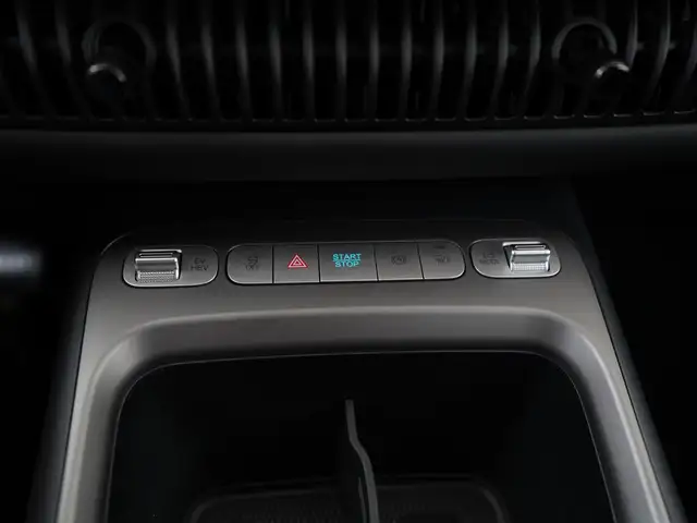 Byd Dolphin G view 10