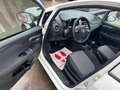 Fiat Punto 5p 1.3 mjt 95 CV N1*AUTOCARRO*OK NEOP*BLUETOOTH* Bianco - thumbnail 8