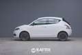 Lancia Ypsilon 1.0 Firefly Hybrid 70CV Platino Blanc - thumbnail 2