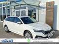 Skoda Octavia Combi 2,0 TDI Style DSG Weiß - thumbnail 1