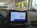 Ford EcoSport EcoSport Titanium Grau - thumbnail 11