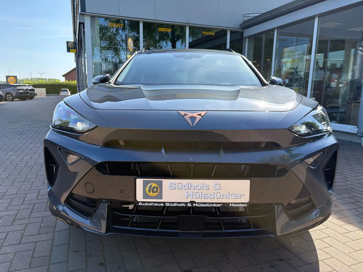 CUPRA Formentor 2.0 TDI Edge-AHK-Kamera-eHeckklappe Grau - 2