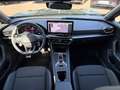 CUPRA Formentor 2.0 TDI Edge-AHK-Kamera-eHeckklappe Grau - thumbnail 10