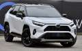 Toyota RAV 4 STYLE APPLE CARPLAY JBL SOUND 360° CAMERA Blanc - thumbnail 1