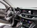 Alfa Romeo Stelvio 2.2 Turbo Executive Grigio - thumbnail 12