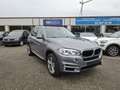 BMW X5 X5 sDrive25d Gris - thumbnail 1