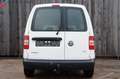Volkswagen Caddy 1.6 TDi L1 2-Sitzer Schiebetür AHK 55KW E5 Weiß - thumbnail 7