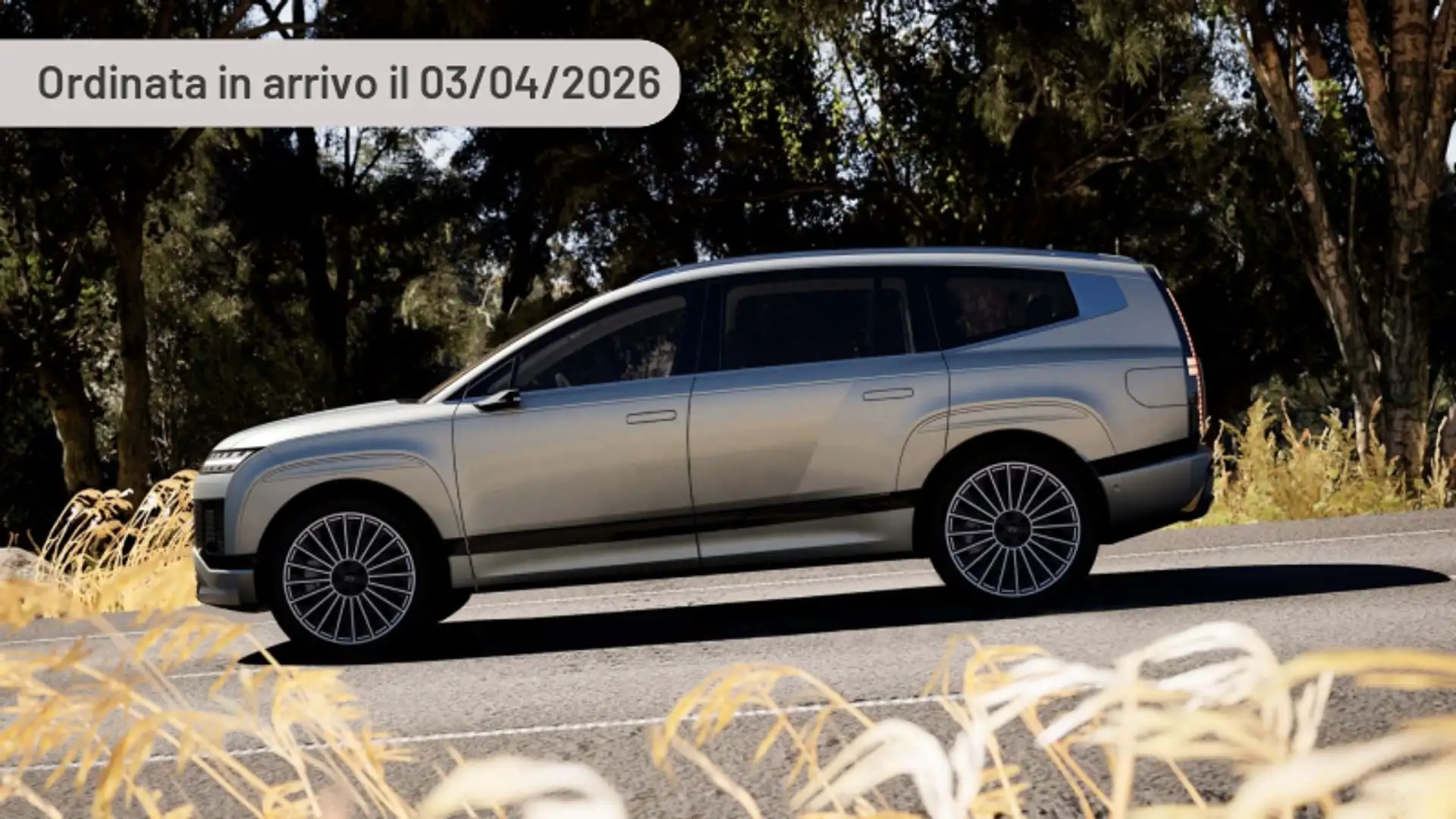 Hyundai IONIQ 9 110 kWh XClass Argento - 1