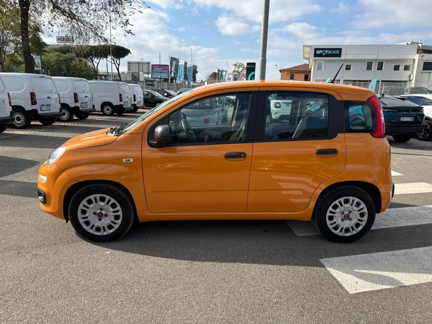 Fiat Panda 1.0 FireFly 70cv S&S Hybrid Arancione - 2