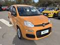 Fiat Panda 1.0 FireFly 70cv S&S Hybrid Arancione - thumbnail 5