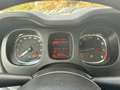 Fiat Panda 1.0 FireFly 70cv S&S Hybrid Arancione - thumbnail 12
