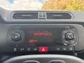 Fiat Panda 1.0 FireFly 70cv S&S Hybrid Arancione - thumbnail 13
