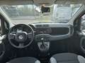 Fiat Panda 1.0 FireFly 70cv S&S Hybrid Arancione - thumbnail 8
