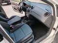 SEAT Ibiza 1,2 TSI Style Weiß - thumbnail 14