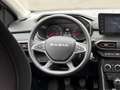 Dacia Jogger JOGGER Extreme TCe 110 PF 5-sitzig Braun - thumbnail 15