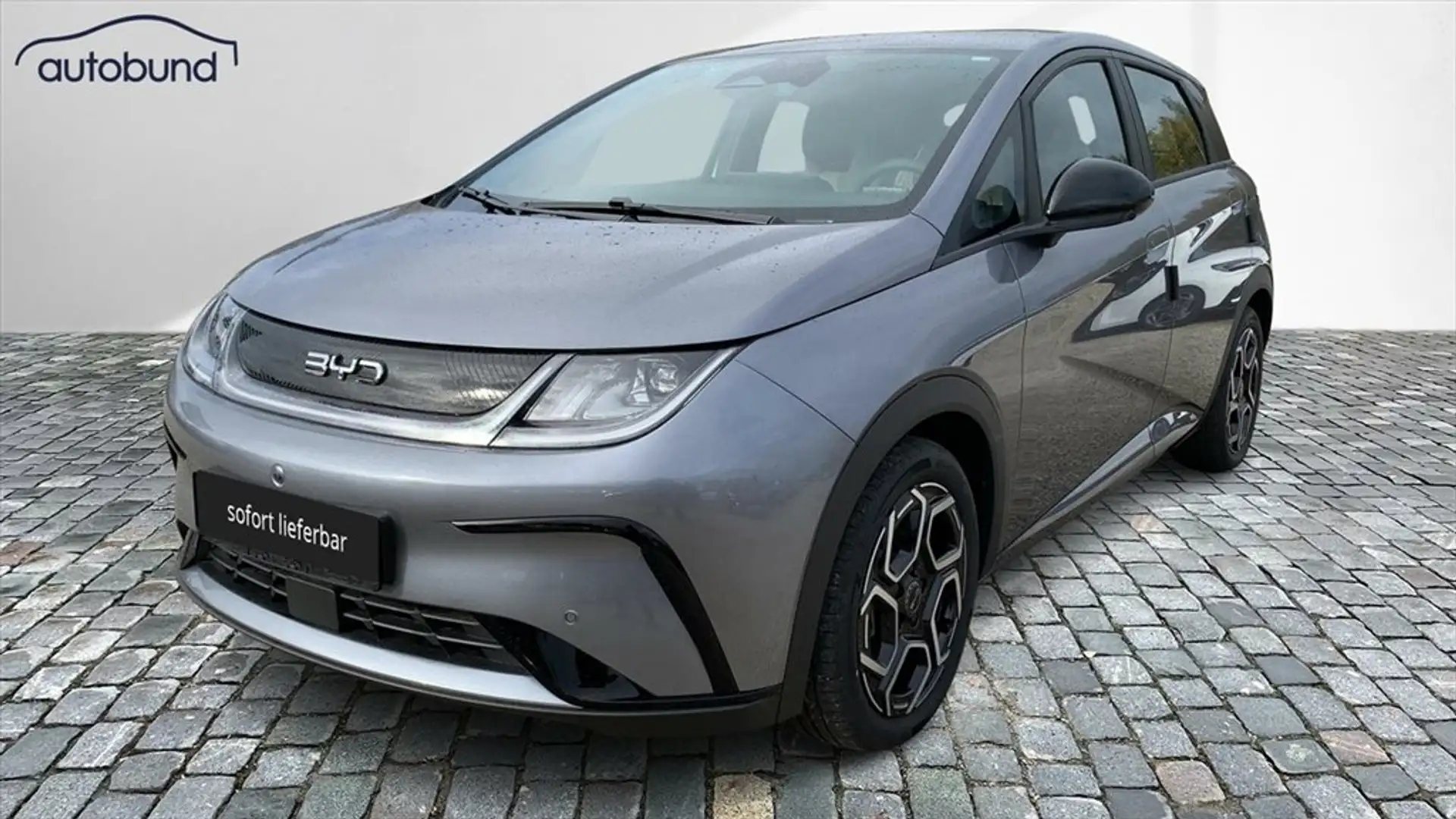 BYD Dolphin Comfort Wärmepumpe Alarm Alu LED NAV Kamera360° Grau - 1