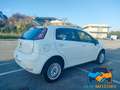 Fiat Punto 1.4 8V 5 porte Natural Power Blanc - thumbnail 5