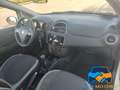 Fiat Punto 1.4 8V 5 porte Natural Power Blanc - thumbnail 12
