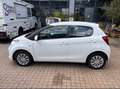 Citroen C1 C1 VTi 68 SELECTION Weiß - thumbnail 7