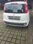 Fiat Panda Panda 1.2 More Weiß - thumbnail 4