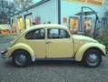 Volkswagen Käfer 1200 Scheunenfund Motor fest Gelb - thumbnail 1