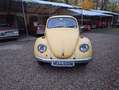 Volkswagen Käfer 1200 Scheunenfund Motor fest Gelb - thumbnail 18