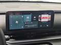 Fiat 600 Hybrid 100 CV DCT MHEV CAMBIO AUT. DA 239.00 MENS. Grün - thumbnail 13
