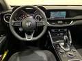 Alfa Romeo Stelvio Stelvio 2.2 t Business Q4 190cv auto Срібний - thumbnail 11