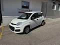 Fiat Panda Pandina 1.0 GSE Hybrid, Klima, 5 Sitzer, ESP, eFH Weiß - thumbnail 1